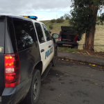 Screen Shot 2015-12-22 at 12.07.04 PM