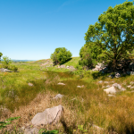 CNWS_Stephen Joseph#88