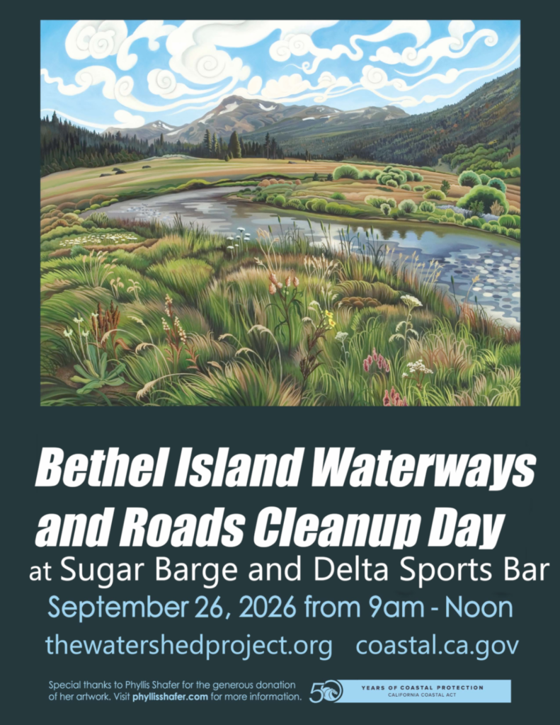 coastal clean up bethel island
